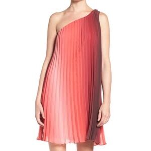 Likely Fenimore Dress in FLMT